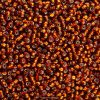 Miyuki 11-90005 Seed Beads | Silver-Lined Dark Topaz, 24g