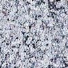 Miyuki 11-90250/11-250 11/0 Transparent Crystal AB 24 Grams